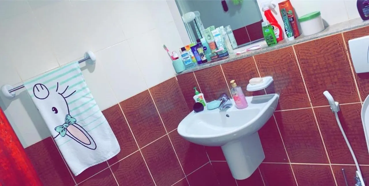 Hostel Ladies Bed Space In Canal Star Tower Sharjah United Arab Emirates